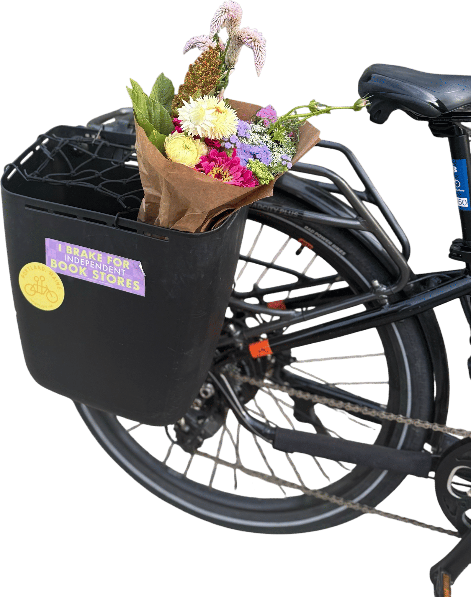 Coolcave Pannier