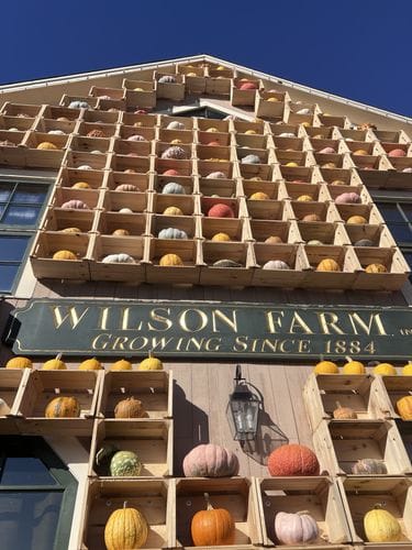 Wilson Farm