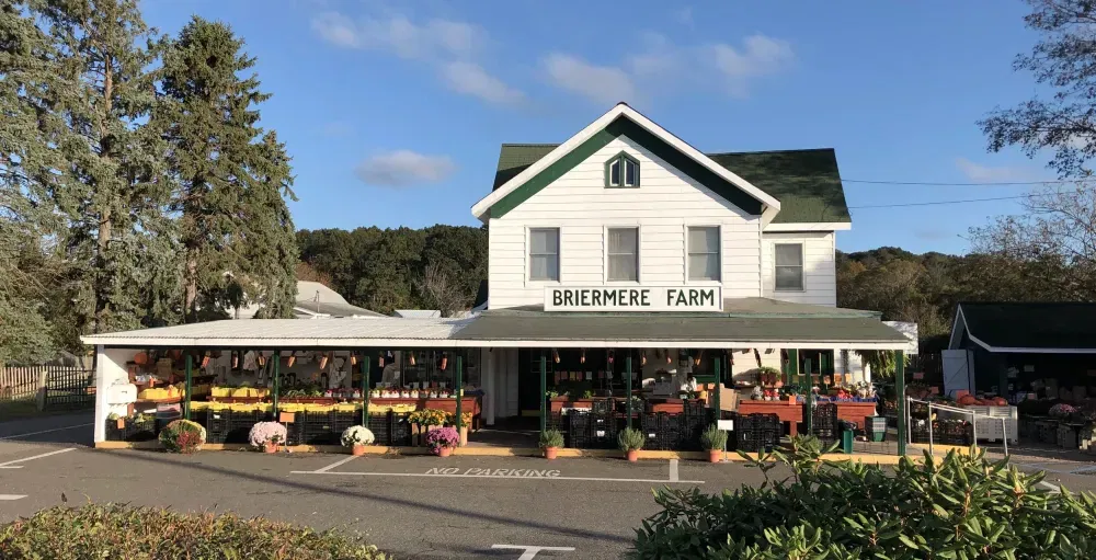 BRIERMERE FARMS