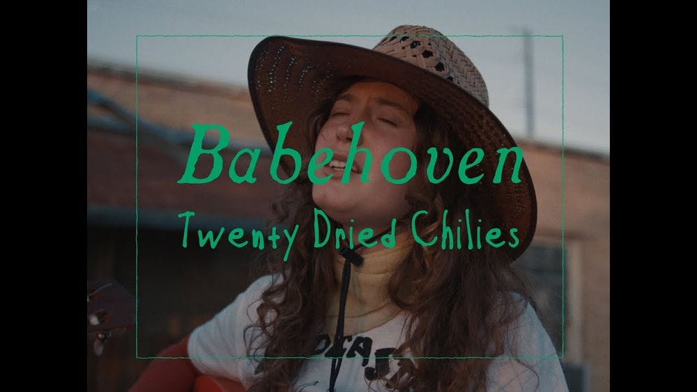 Babehoven - Twenty Dried Chilies | SOTP