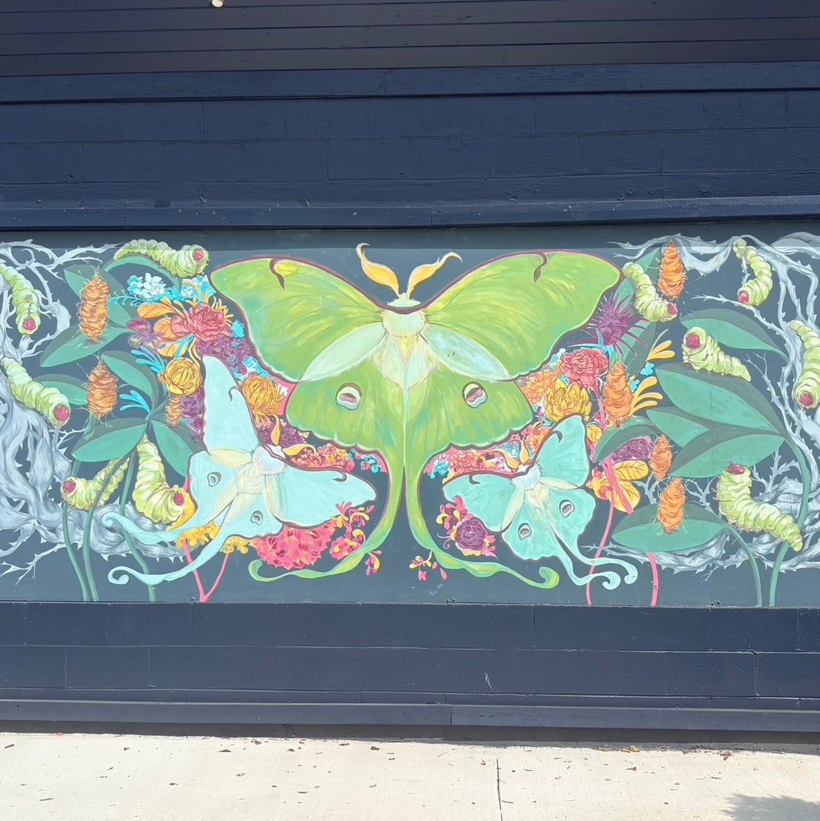 48 Hours in Richmond