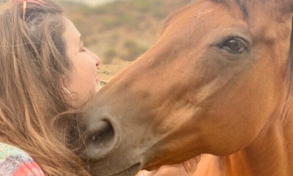 Stable Support Equine Therapy