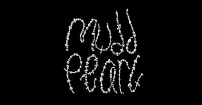 Mudd Pearl
