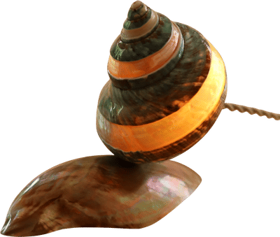 Shell Lamp I