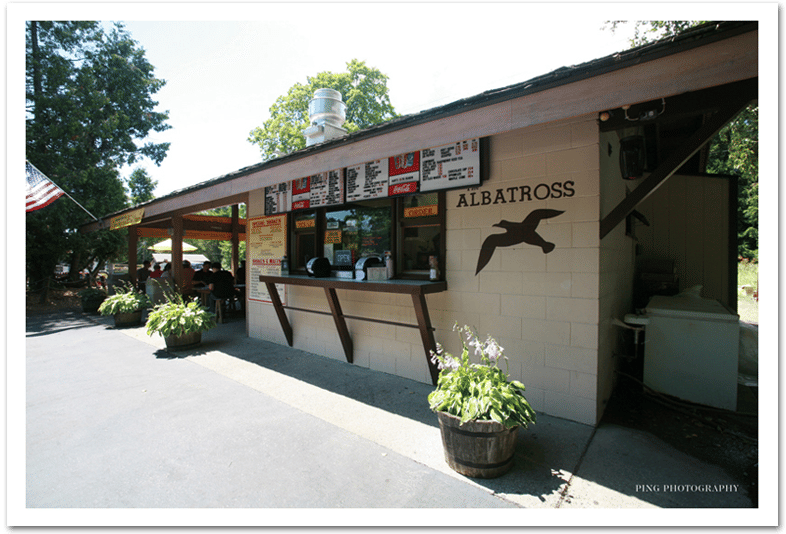 The Albatross