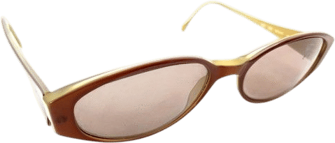Emporio Armani Brown Oval Sunglasses