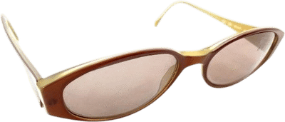 Emporio Armani Brown Oval Sunglasses