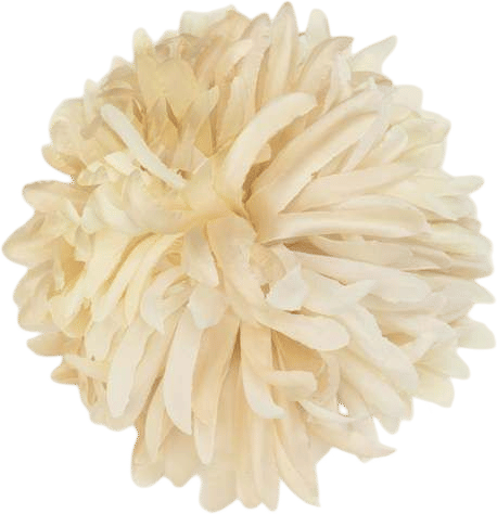 Indress Nicole Brooch