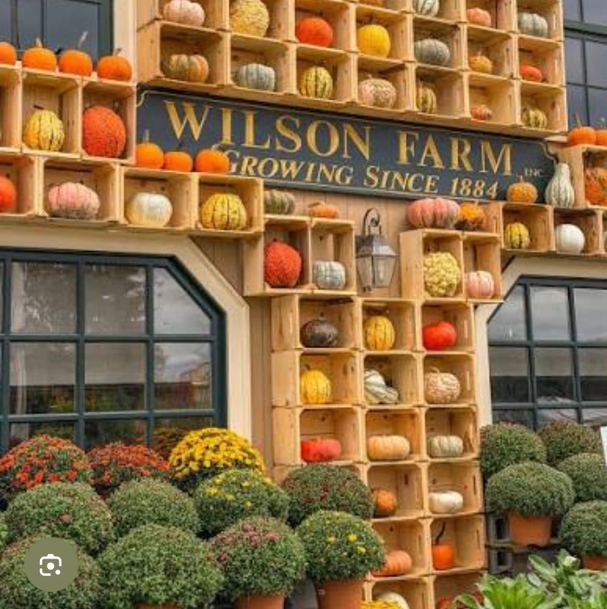 Wilsons Farm
