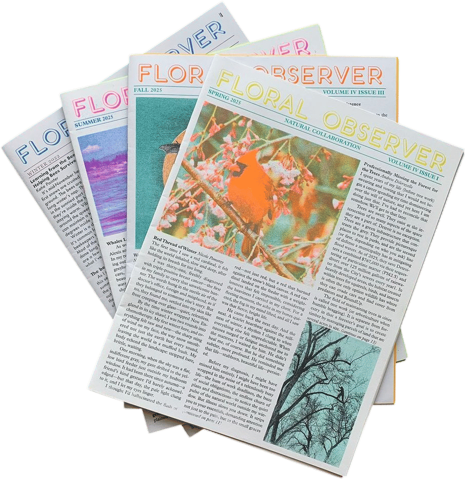 Floral Observer / Taxonomy Press
