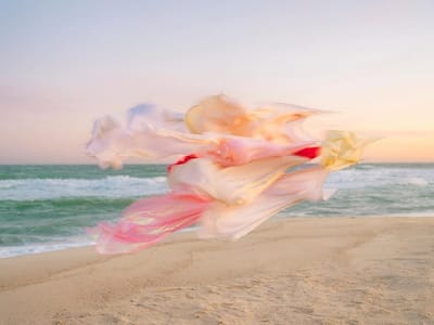 Silk no. 10, Nantucket, Massachusetts (2025)