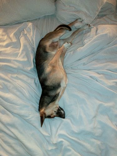 ⎡SLEEP HYGINE⎦