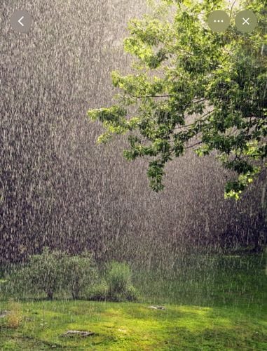 Warm Rain