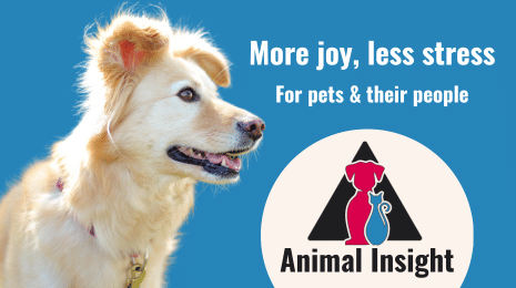 Try a degreed dog behaviorist (vs a certified dog trainer)
