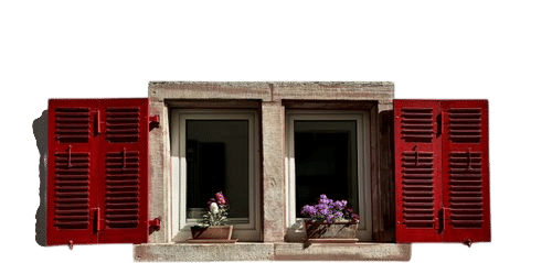 Flowers on Windowsills