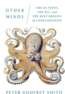 Other Minds