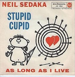 stupid cupid