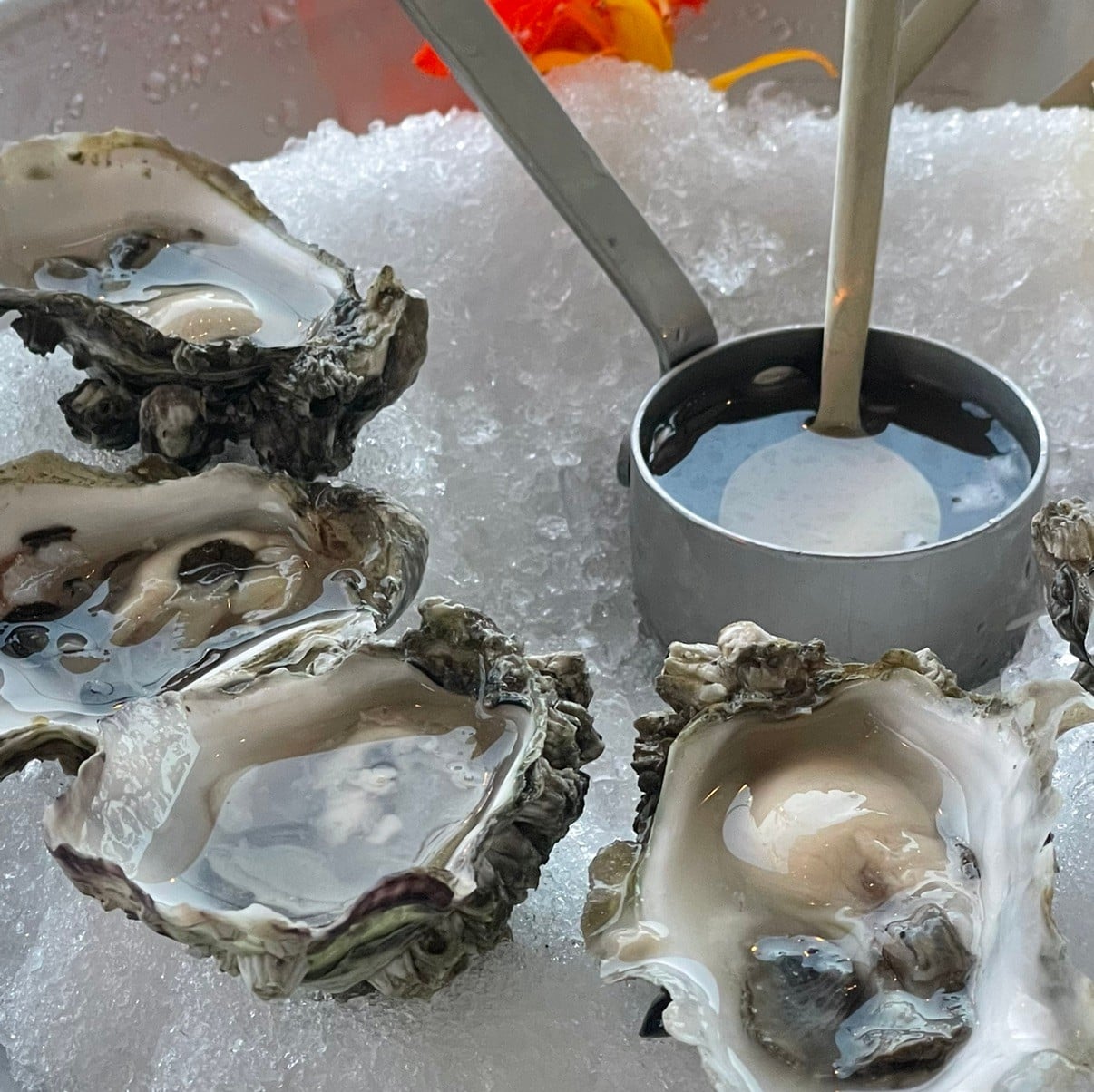 Seattle Eats