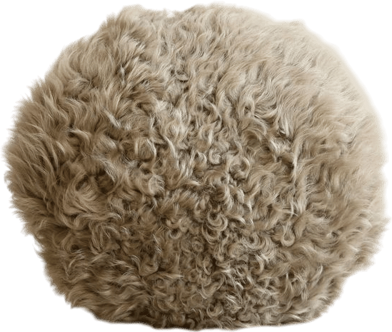 Members-Only Recommendation