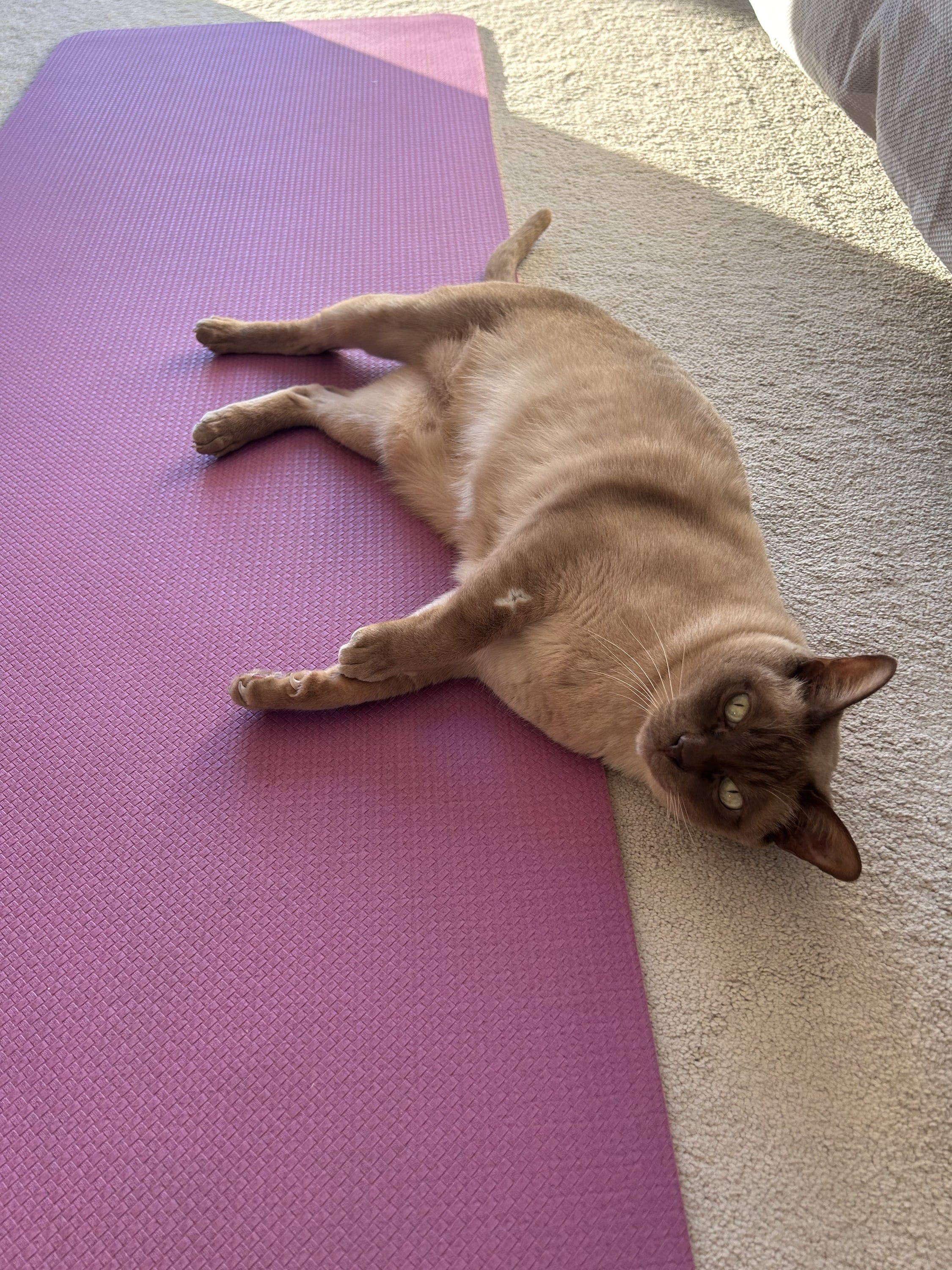 Yoga in the sun