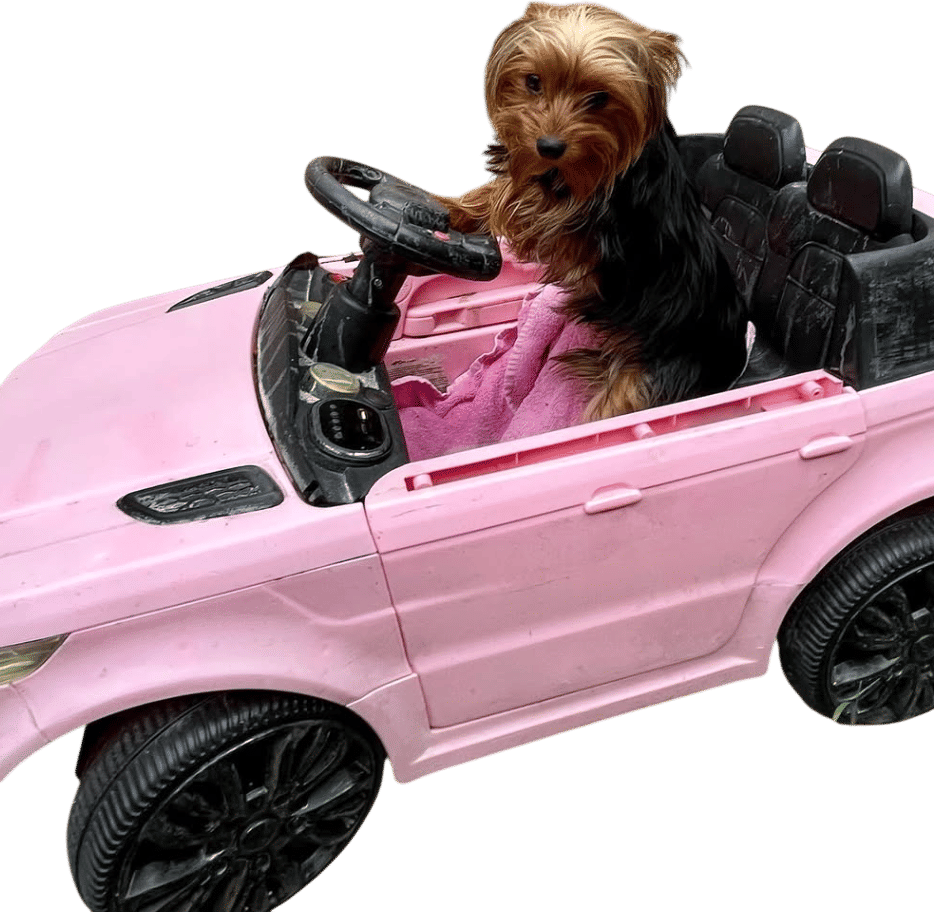 GARY IN HIS CUNTY PINK CAR