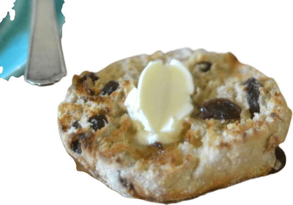 raisin english muffin