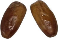 barhi dates