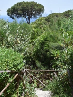 A Tangier garden by the sea