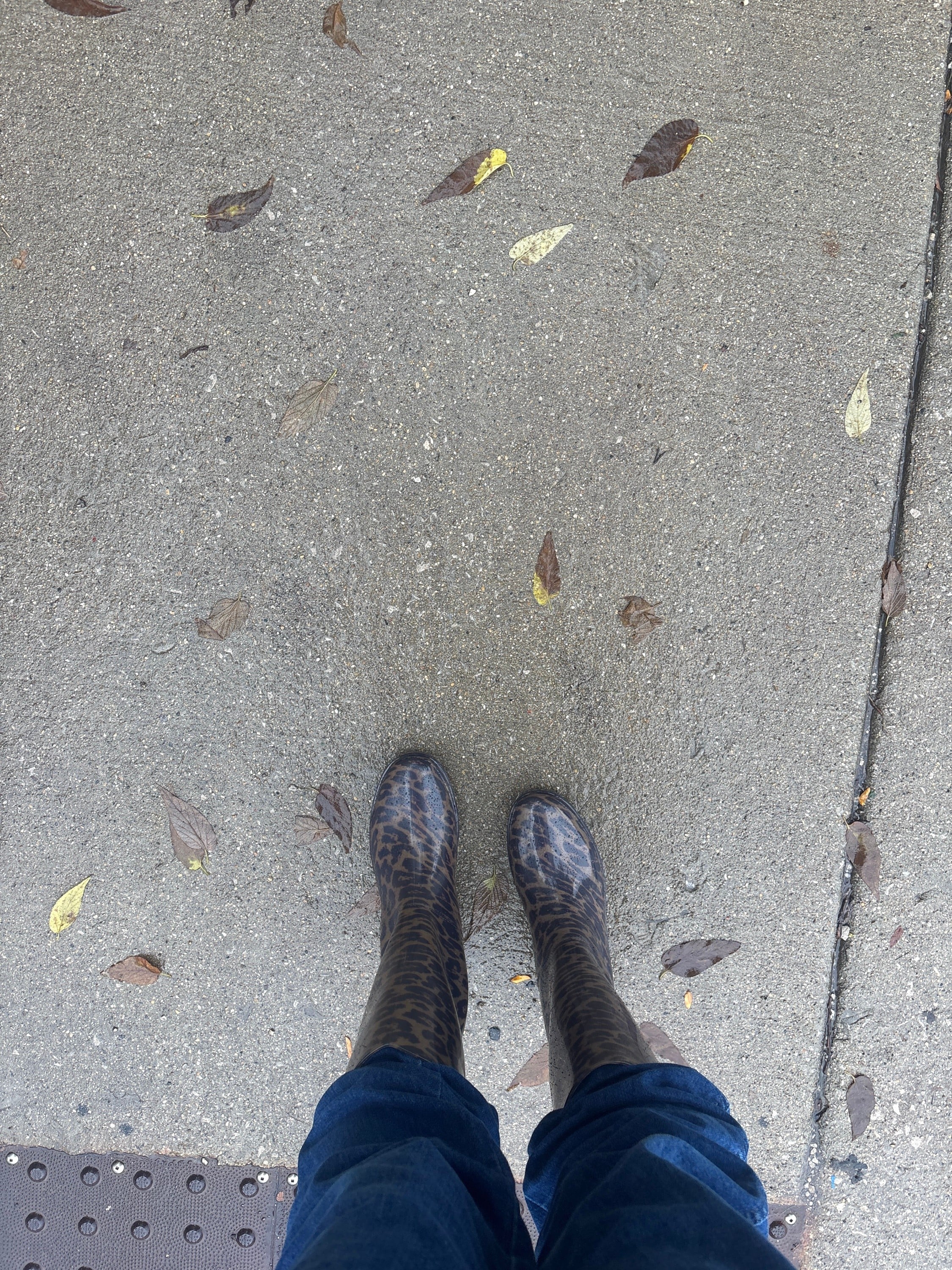 Tall rain boots