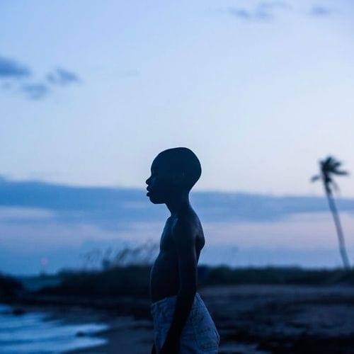 moonlight