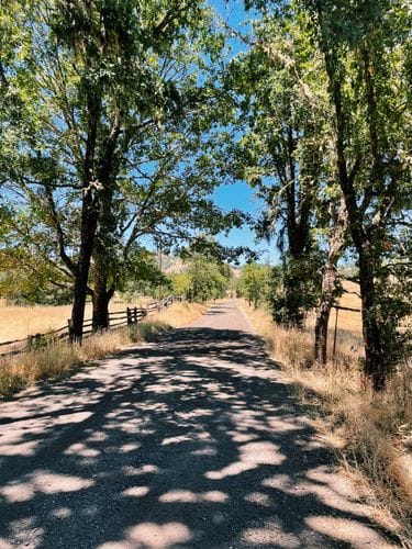 Willits, Mendocino County