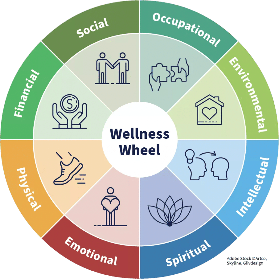 Schedule a few sessions with a (national board certified) health & wellness coach❤️