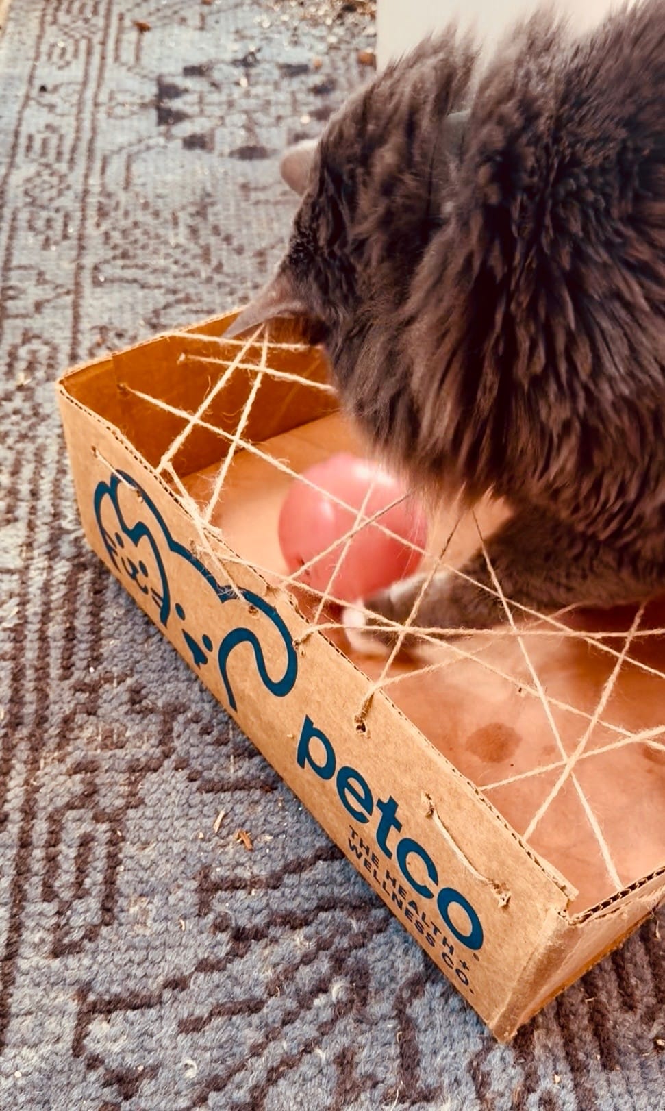 DIY Treat Puzzle Box