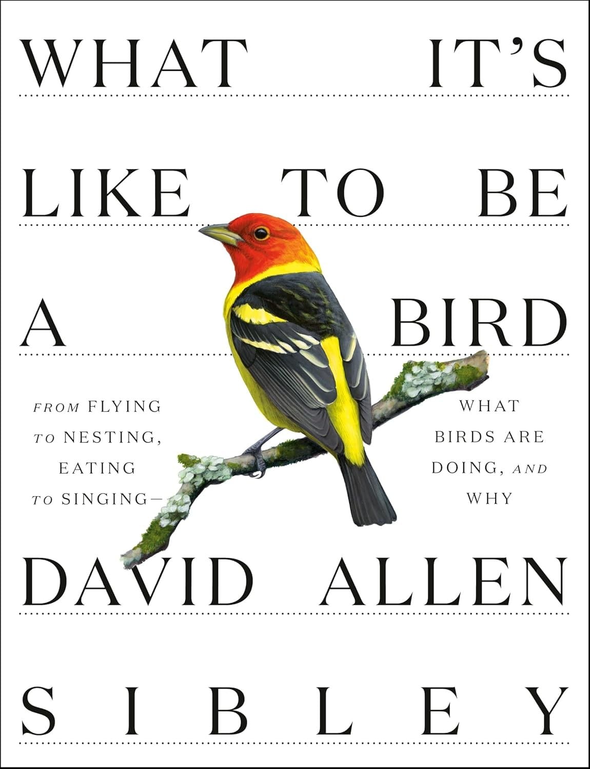 What It's Like to Be a Bird (David Allen Sibley)