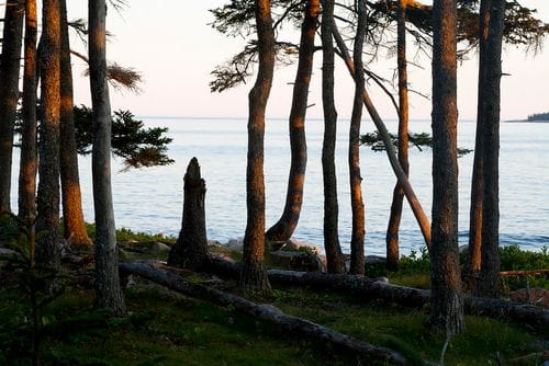 maine