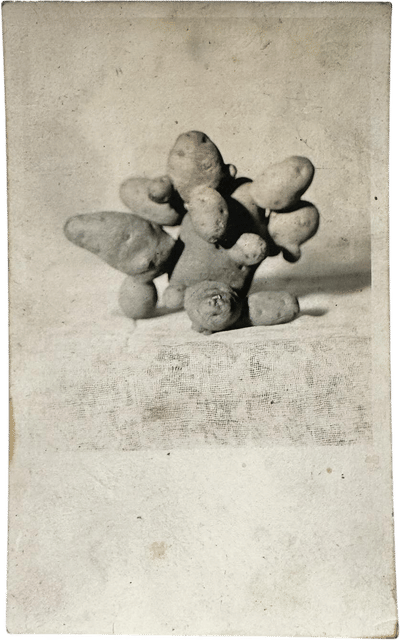 Real Photo Post Card of a Potato
