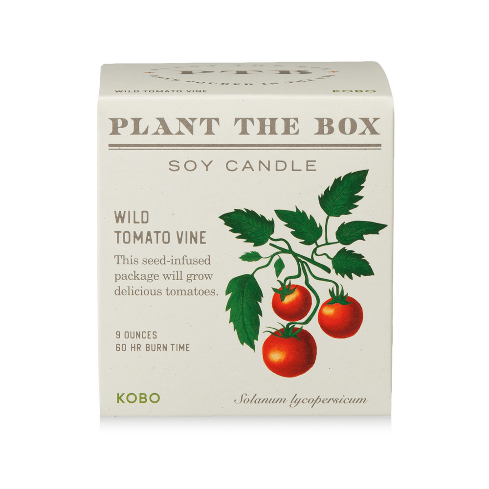 KOBO Wild Tomato Vine Plant the Box Candle