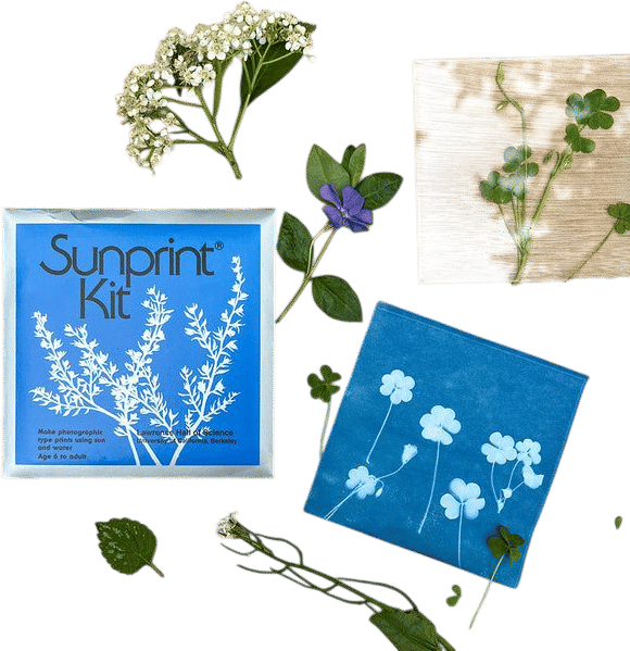 Sunprint Kit