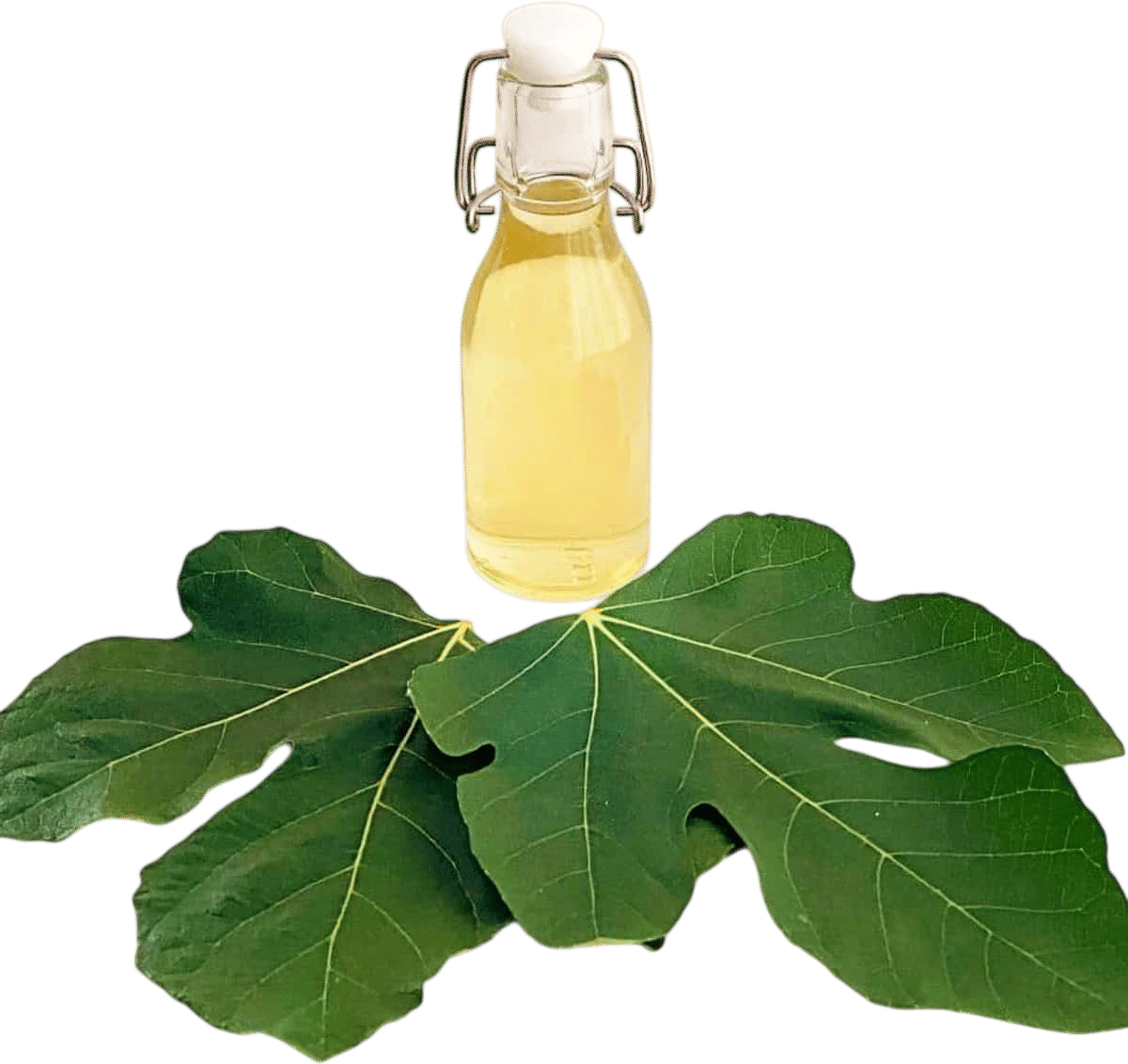 Fig Leaf Simple Syrup