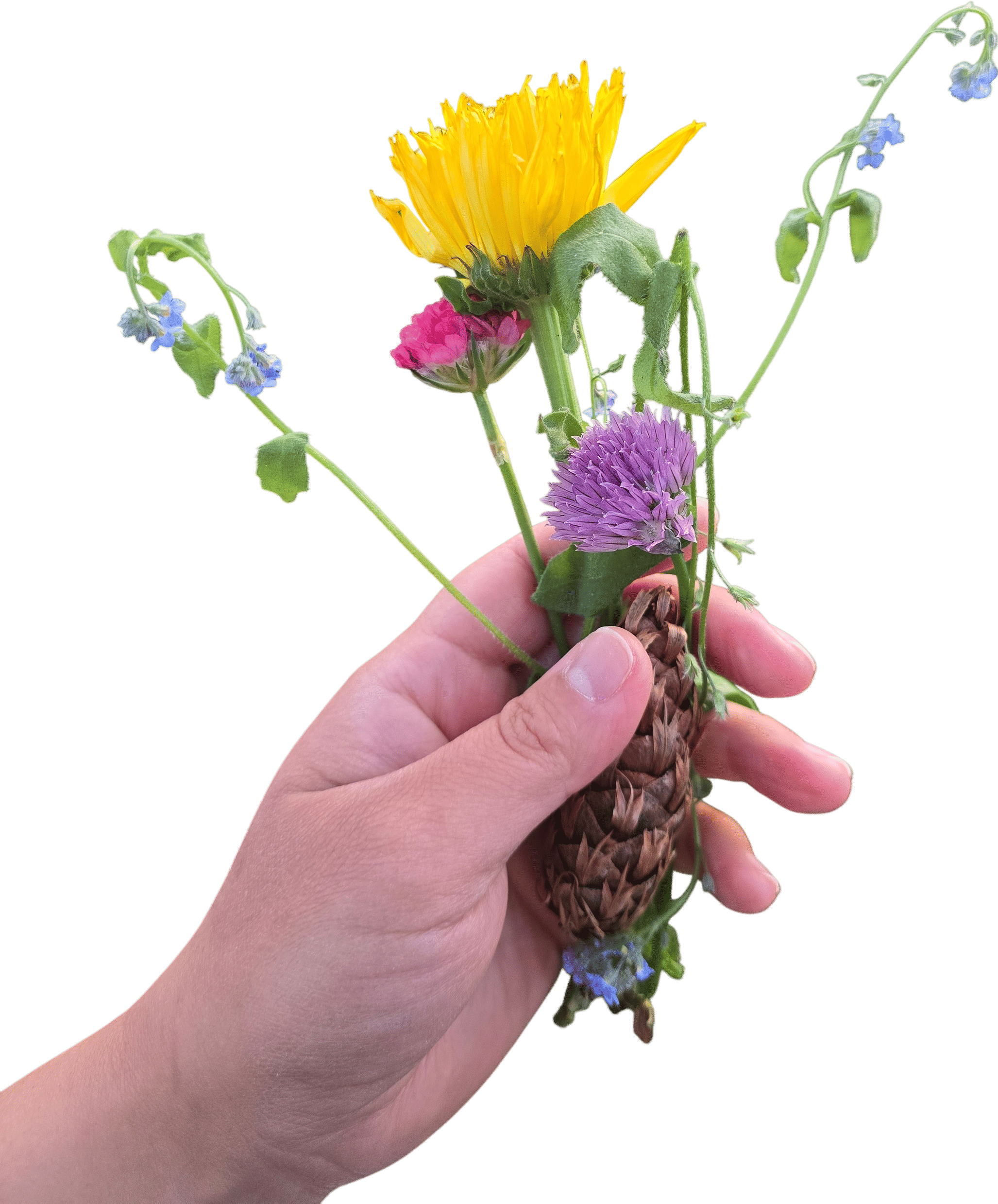 Wildflower bouquets curated by 6 year olds