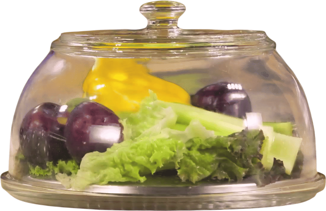 The VeggiDome Infomercial
