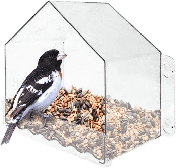 Clear Window Bird Feeder