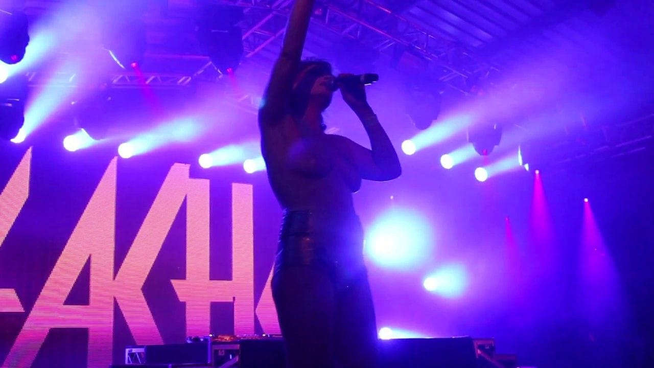 Peaches - live at The Meredith Music Festival 2016