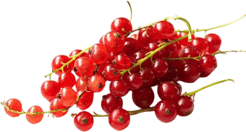 red currants