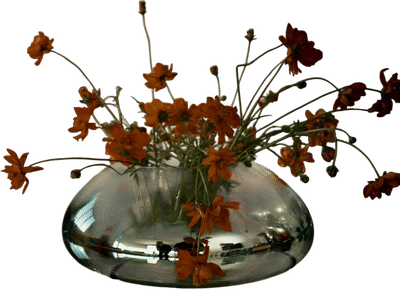 The Reflection Bowl Vase