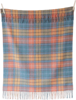 tartan blanket co baby blanket