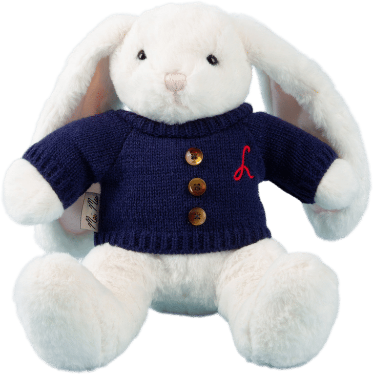 Mei Mei the Bunny