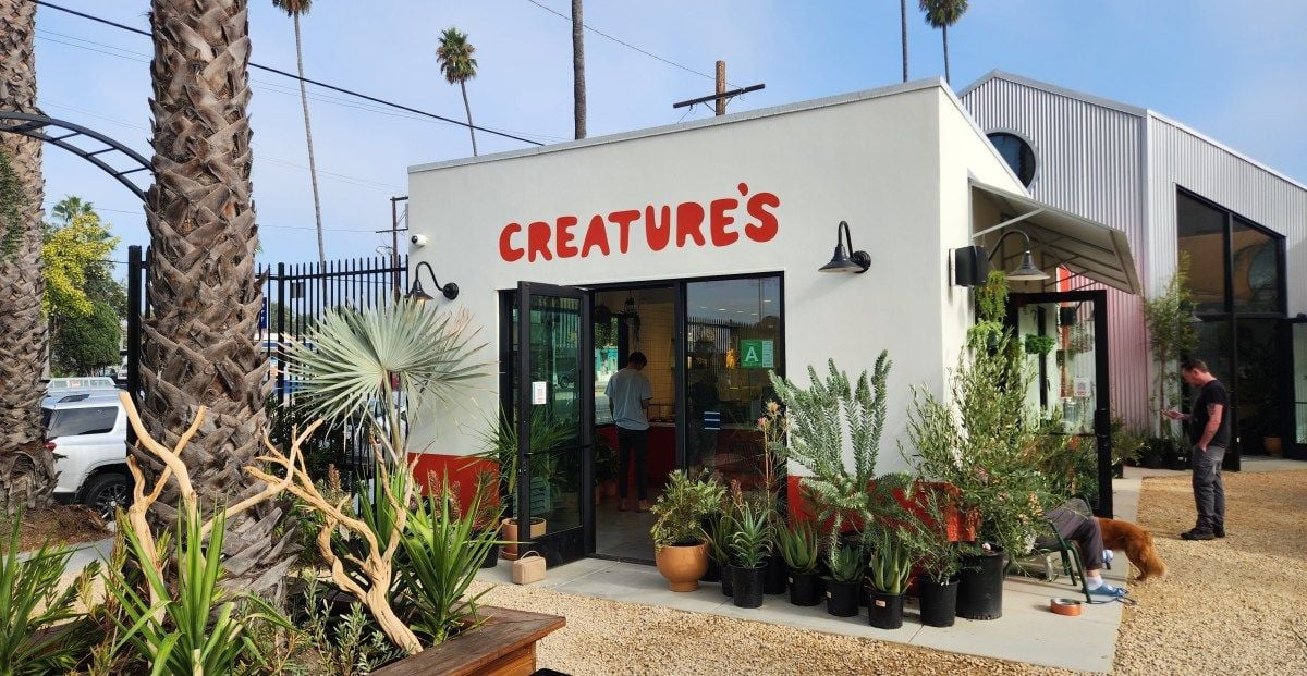 Creatures Plants and Coffee