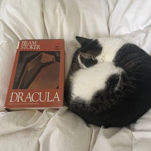 books alert