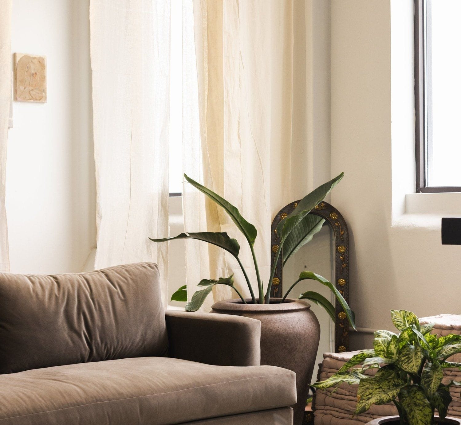 wake wellness collective